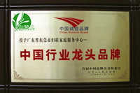 中国行业龙头品牌