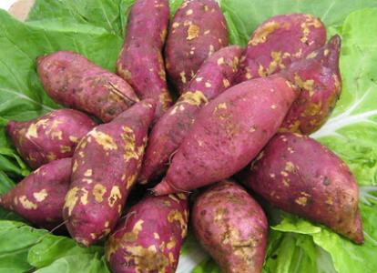 红薯香甜又营养，孩子适量吃