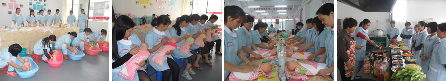 白兰花职业学校