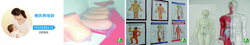催乳师培训